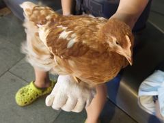 -沈阳铁西万象汇