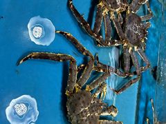 -不将就渔鲜码头(川沙店)