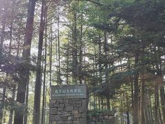 -莫干山风景区