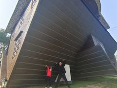 -金山农民画村-枫泾波兰倒置屋