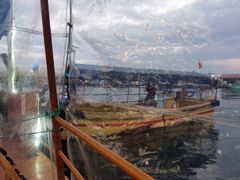 -蓝湾碧波·老字号·疍家非遗海上餐厅