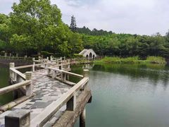 -旺山·浪头人家