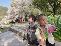 -杭州少年儿童公园