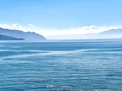 -大理洱海