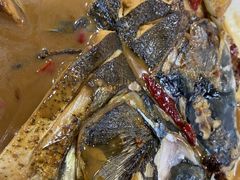 -听涛雅苑百味饺子老家菜馆