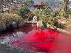 -麦积山温泉
