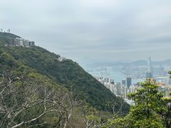 -太平山顶