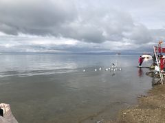 -青海湖国家重点风景名胜区