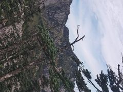 -朱雀国家森林公园