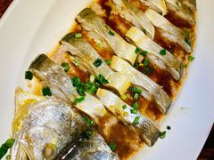 葱椒鲈鱼-绿茶餐厅(华联万柳店)