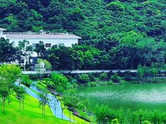 -天鹿湖森林公园