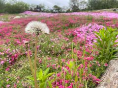 -昆嵛山石门里景区