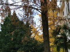 景观位-一尺花园(安和花园店)