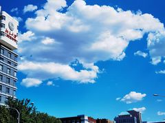 -莲花池公园