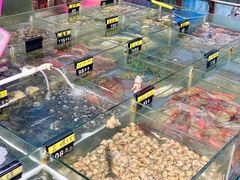 -明记海鲜大排档(巽寮湾店)