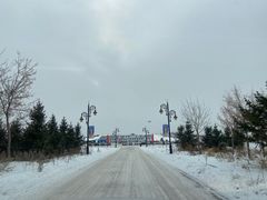 -呼兰河口湿地公园