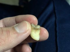 -广州市海珠区口腔医院