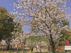 -苏州上方山国家森林公园
