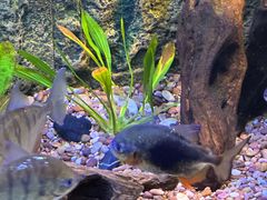 -上海海洋水族馆