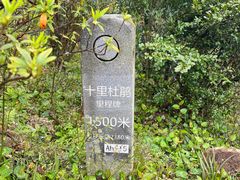 -梧桐山风景名胜区