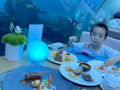 -海棠湾洲际-涛·海底餐厅·美人鱼·自助餐·海底隧道