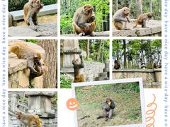 -黔灵山公园