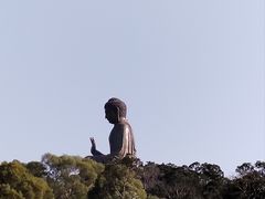 -天坛大佛