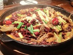 -老板恋上鱼(高新万达店)