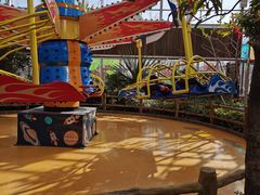 -南宫五洲植物乐园