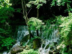 -大鄣山卧龙谷景区