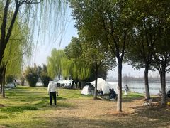 -金银湖国家城市湿地公园