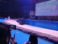 -华夏文旅海洋公园