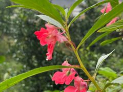 -樱桃山旅游景区