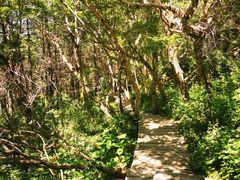 -白草畔自然风景区