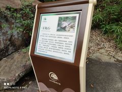 -广州白江湖森林公园