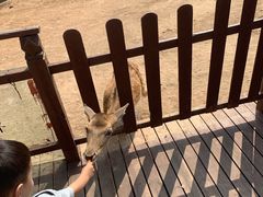 -西安秦岭野生动物园