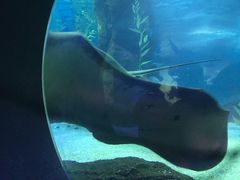 -常州海昌海洋探索馆