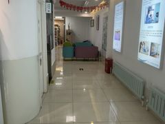 -北京观赏动物医院·24小时大型综合·猫专科·异宠专科