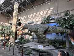 -国家自然博物馆