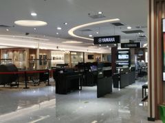 -知音艺术教育培训·钢琴培训·音乐培训(河西金鹰世界校区)