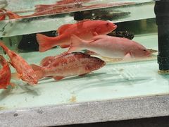 -万龙洲海鲜(大兴绿地缤纷城店)