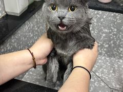 -宠物家(角门东店)