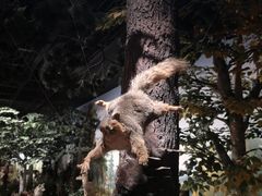 -陕西自然博物馆