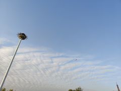 -祥源·阜阳生态乐园