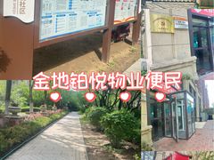 -金地·铂悦