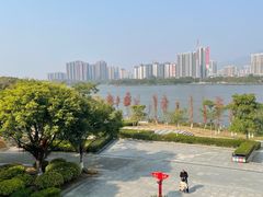 -飞来湖湿地公园