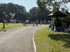 -梁鸿国家湿地公园