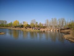 -东郊湿地公园