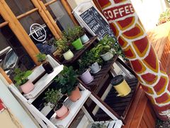 -长颈鹿咖啡(大学路店)