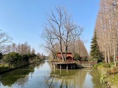 -上海怡沁园度假酒店